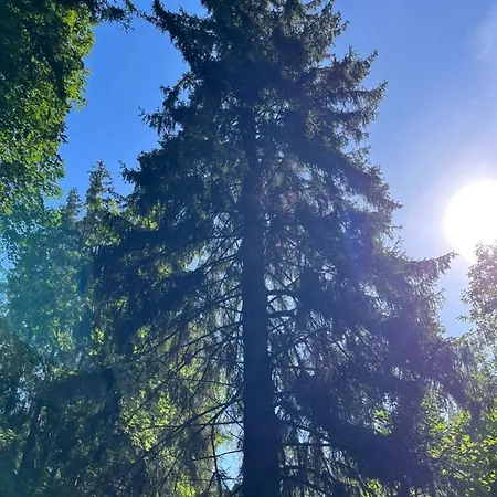 Krásný Uprostřed Jeseníků Apartamento *